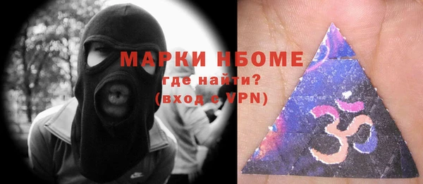 шишки Аркадак