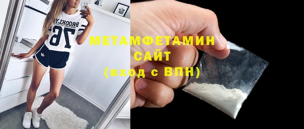 шишки Аркадак
