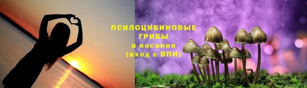 шишки Аркадак