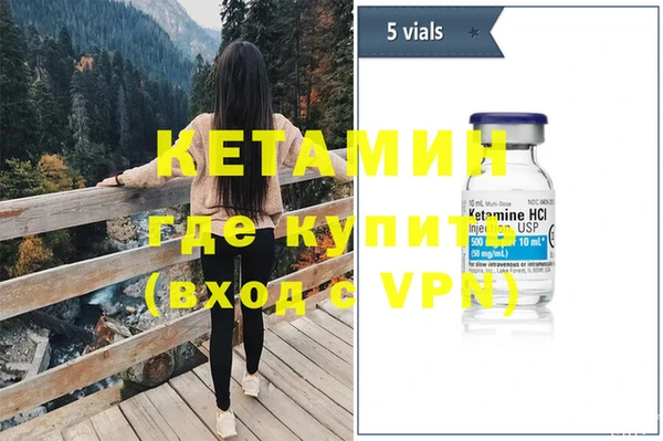 шишки Аркадак