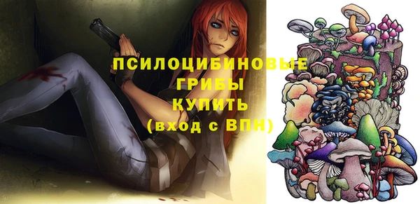 шишки Аркадак