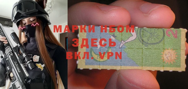 шишки Аркадак