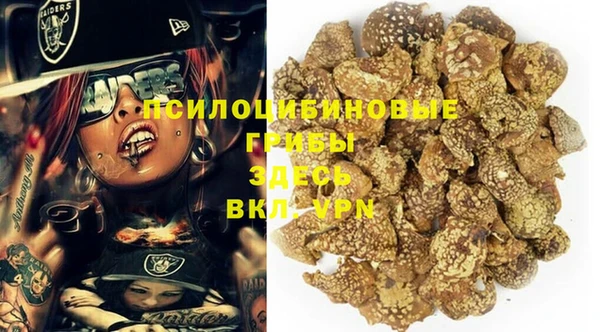 мет Арсеньев