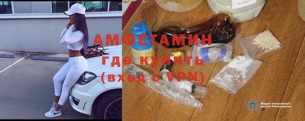 шишки Аркадак