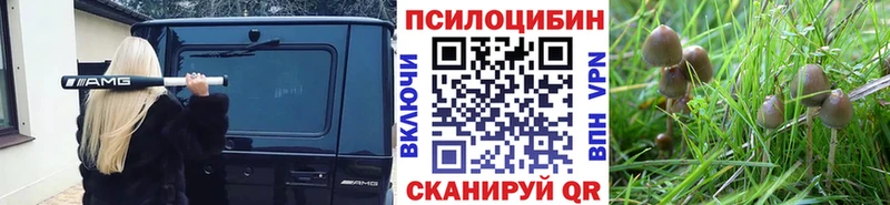Псилоцибиновые грибы мухоморы  Нязепетровск 